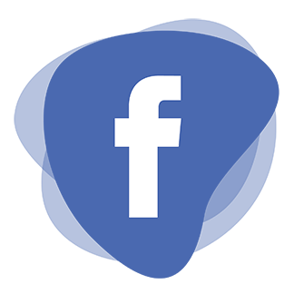 Social media /_app/immutable/assets/facebook-icon.Cl2y4HvR.png