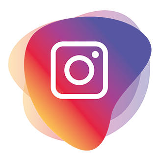 Social media /_app/immutable/assets/instagram-icon.DPqd3529.png