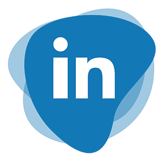 Social media /_app/immutable/assets/linkedin-icon.I2nIimUV.png